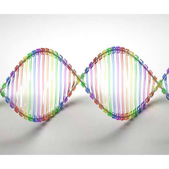 Synthetic Human Genome May Soon Lead to Synthetic Humans