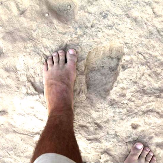 Ancient Footprints Suggest Homo Erectus Walked Just Like Us