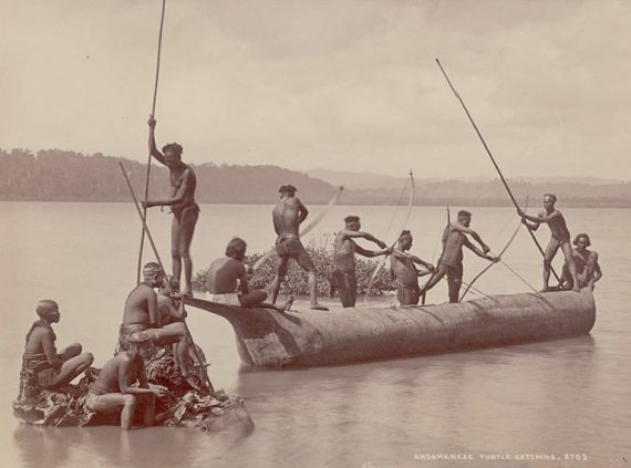 Group of Andaman Men and Women in Costume Some Wearing Body Paint And with Bows and Arrows Catching Turtles from Boat on Water 570x423