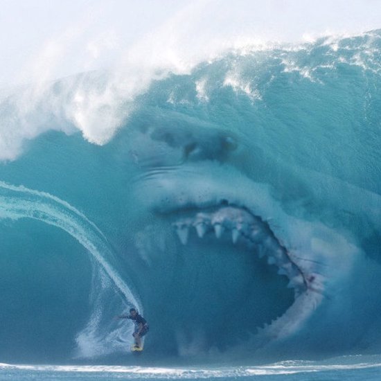Giant Jaws of Death: Strange Accounts of Modern Megalodon Attacks