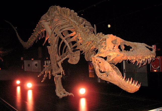 Researchers Say Dinosaurs Didn’t Roar, They Cooed