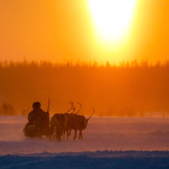 Melting Siberian Permafrost Awakens Dormant Deadly Bacteria