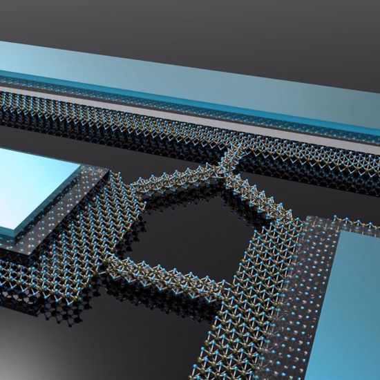 These Atomically-Thin 2D Circuits Were Grown, Not Built