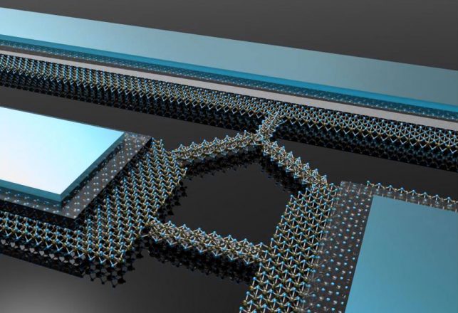 These Atomically-Thin 2D Circuits Were Grown, Not Built