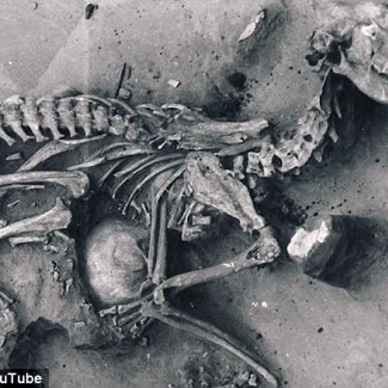 Ancient Dog Graveyard Found at Siberia’s Lake Baikal