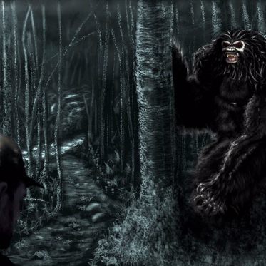 What Happens If We Find A Bigfoot?