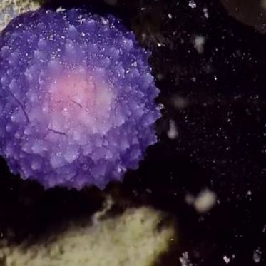 Mysterious Purple Orb Captured Off Coast of California