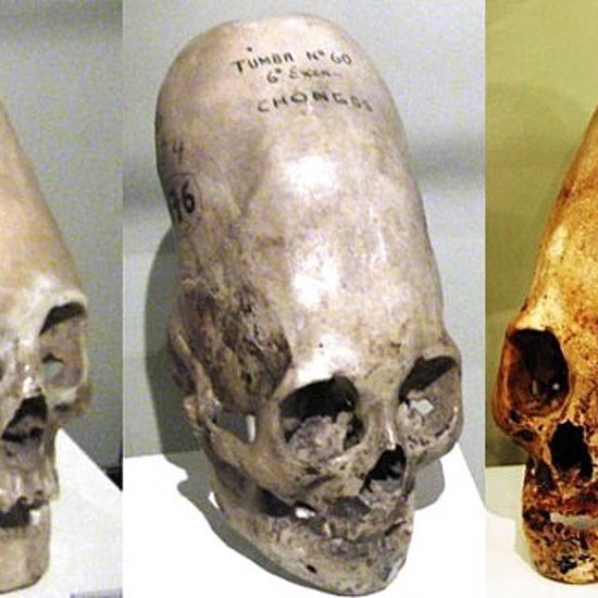 New DNA Tests On Paracas Skulls Yield Unexpected Results