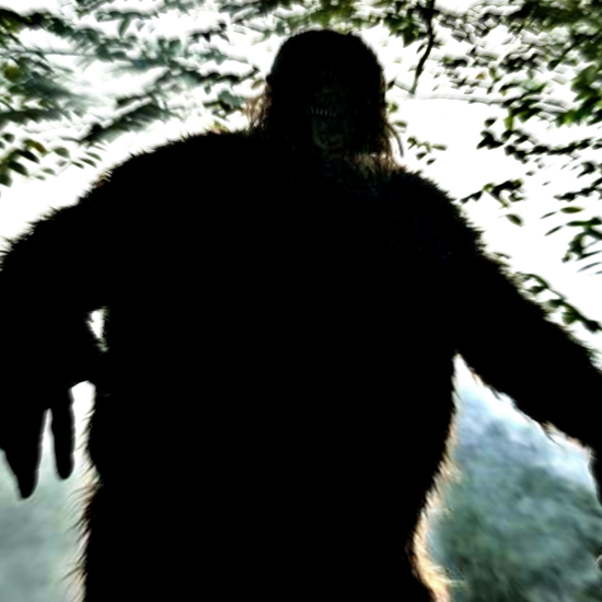 “The Indians Without Fire”: Stories of Sasquatch Over the Ages