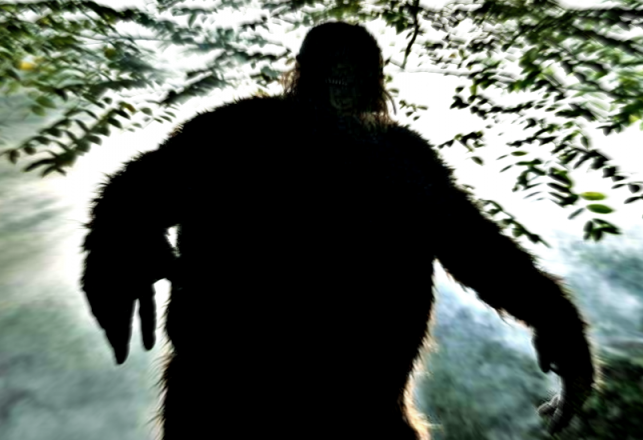 “The Indians Without Fire”: Stories of Sasquatch Over the Ages