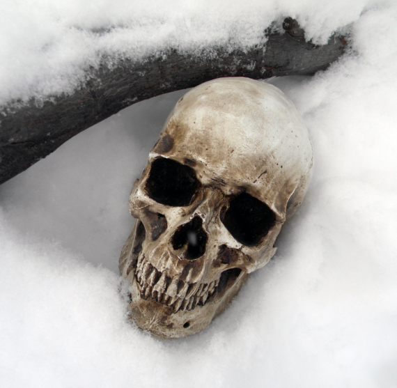 skull_in_snow_by_blablover5-d36v7n3