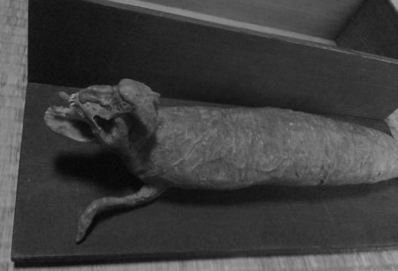 tsuchinoko mummy 570x388