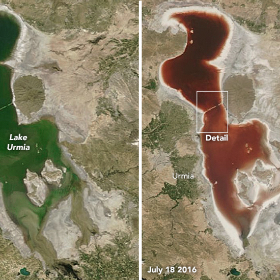 Lake Irmia Rapidly Changes From Green to Blood Red