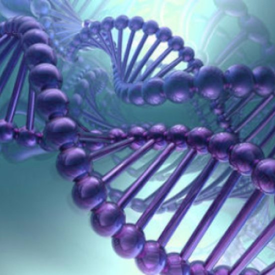 Scientists Recreate Primordial DNA World