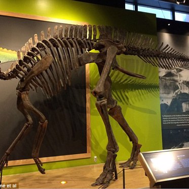 Dinosaurs Suffered from Arthritis