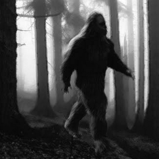 These Early Reports of Sasquatch in Cascadia Offer Eerie Details of “Men Stealers”