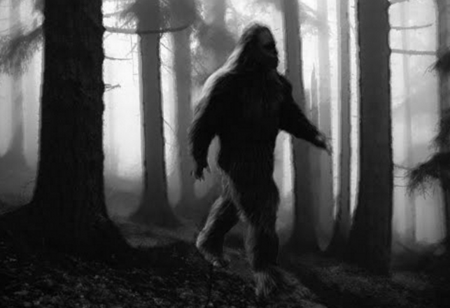 These Early Reports of Sasquatch in Cascadia Offer Eerie Details of “Men Stealers”