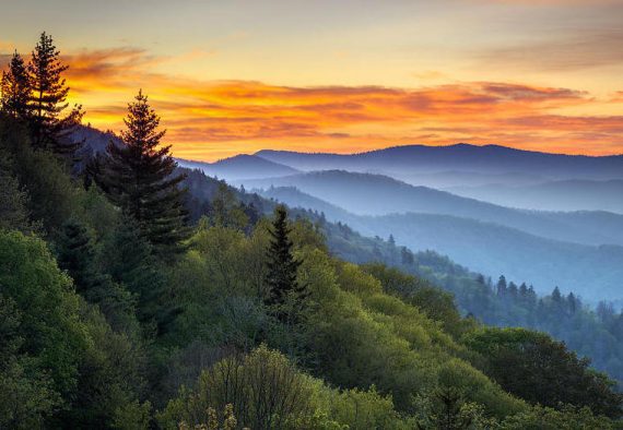 Smoky Mountains National Park 570x394