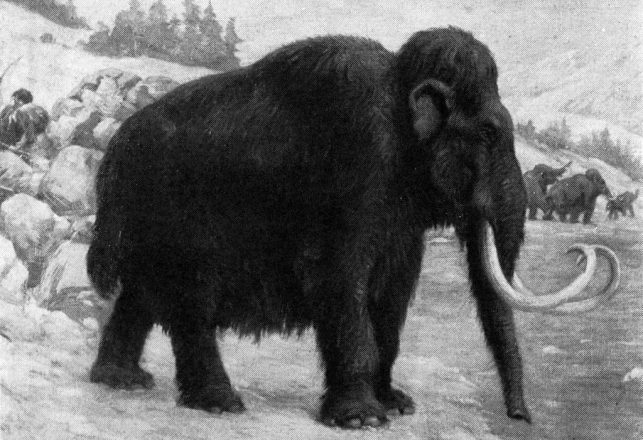 The Last, Lonely Mammoths Were Driven to Extinction by Thirst