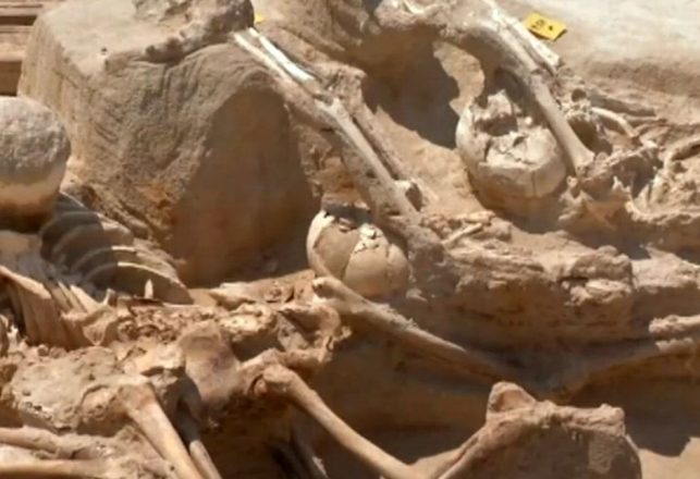 Archaeologists Puzzled by 80 Shackled Skeletons in Ancient Greek Grave