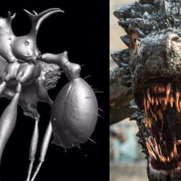New Spiky Armored Ants Named After ‘Game of Thrones’ Dragons