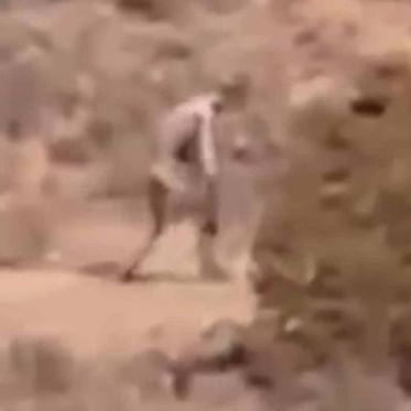 Mysterious ‘Man-Like Creature’ Filmed in Portuguese Desert