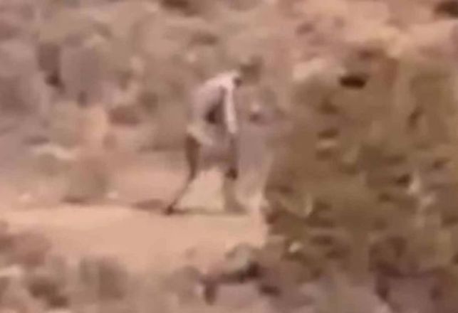 Mysterious ‘Man-Like Creature’ Filmed in Portuguese Desert