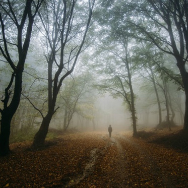 Vanished into Thin Air at the Great Smoky Mountains