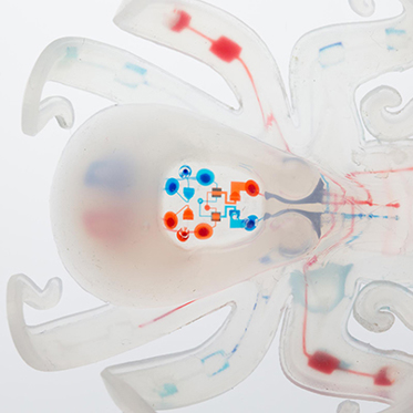 Meet “Octobot:” The World’s First Squishy Autonomous Robot