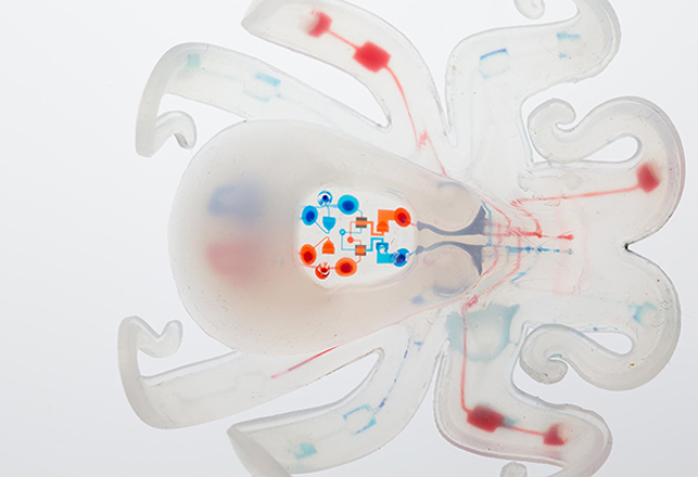 Meet “Octobot:” The World’s First Squishy Autonomous Robot