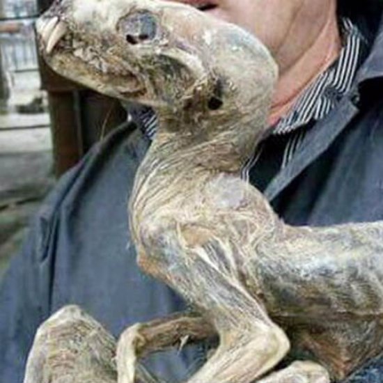 “Monster Mummy” Found in Siberian Diamond Mine