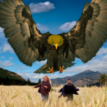 What Was The Mysterious, Massive Bird Seen Over Southern Alaska?