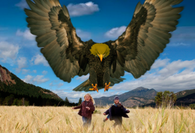 What Was The Mysterious, Massive Bird Seen Over Southern Alaska?