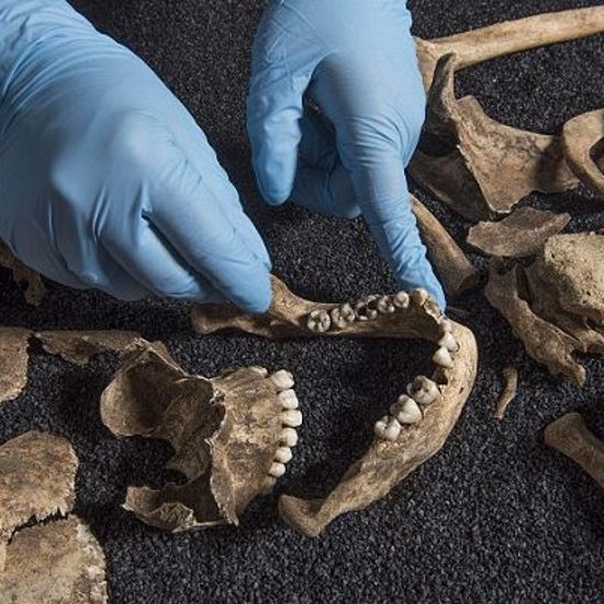 Unexplained Chinese Skeletons Found In Ancient London Tomb