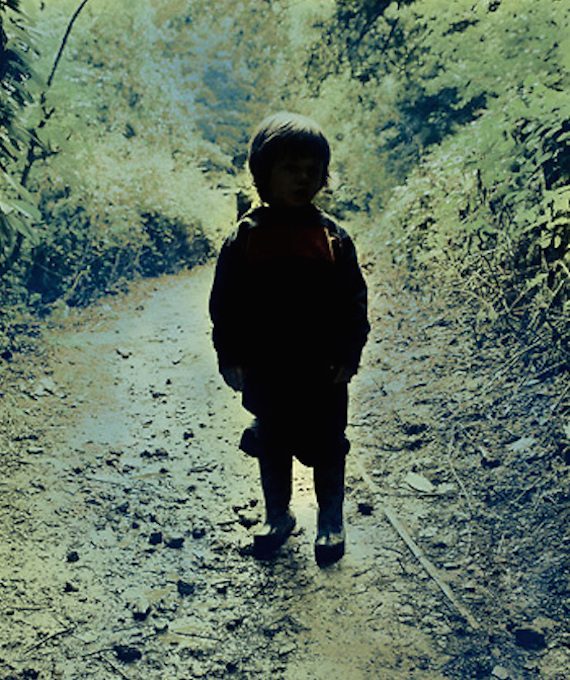boy,lost,abandoned,young,little,park,woods,path,toddler,alone
