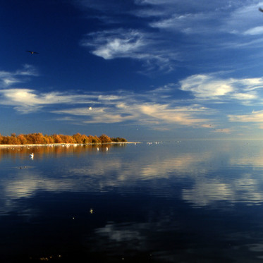 Nearly 200 Quakes Hit California’s Salton Sea in One Day