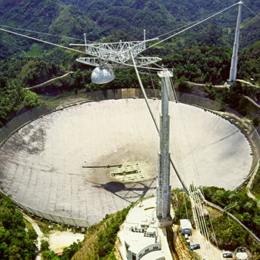The Collapse of the Arecibo Observatory and a Strange, Blood-Draining Creature