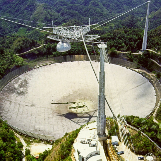 The Collapse of the Arecibo Observatory and a Strange, Blood-Draining Creature