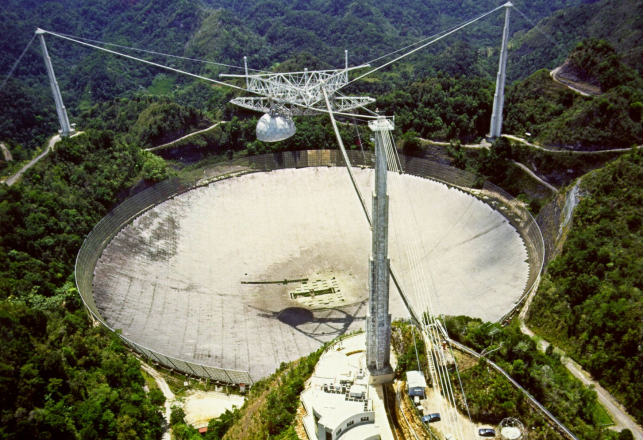 The Collapse of the Arecibo Observatory and a Strange, Blood-Draining Creature