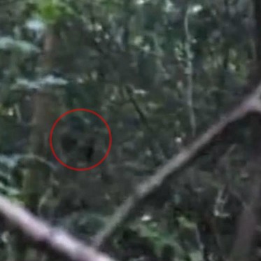 First Video Ever of a Possible Bigfoot in the UK