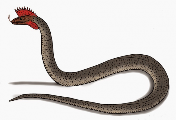 crested-snake