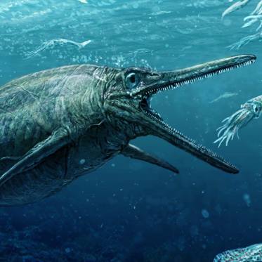 Scotland’s Real Sea Monster is Put on Display