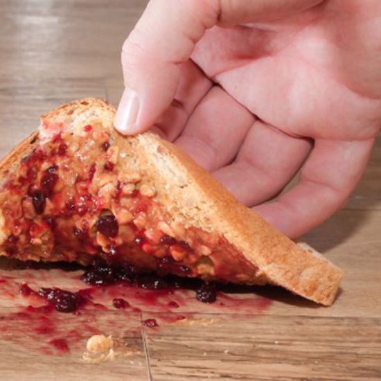 The “Five-Second Rule” is a Myth