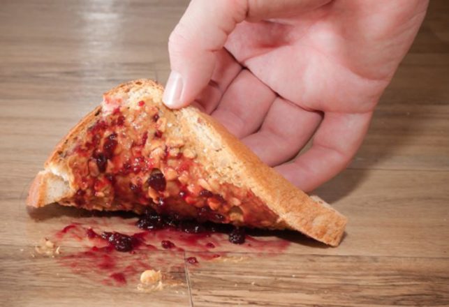 The “Five-Second Rule” is a Myth