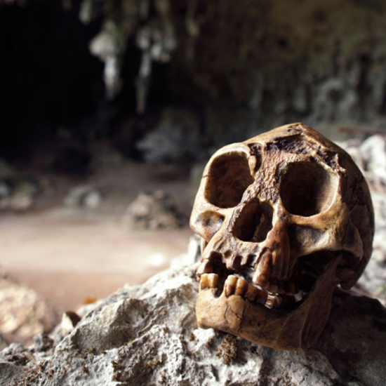 New Discovery in Cave Suggests Humans Killed the Hobbits
