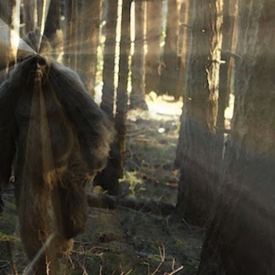 Truly Strange Cases of People Kidnapped by Bigfoot