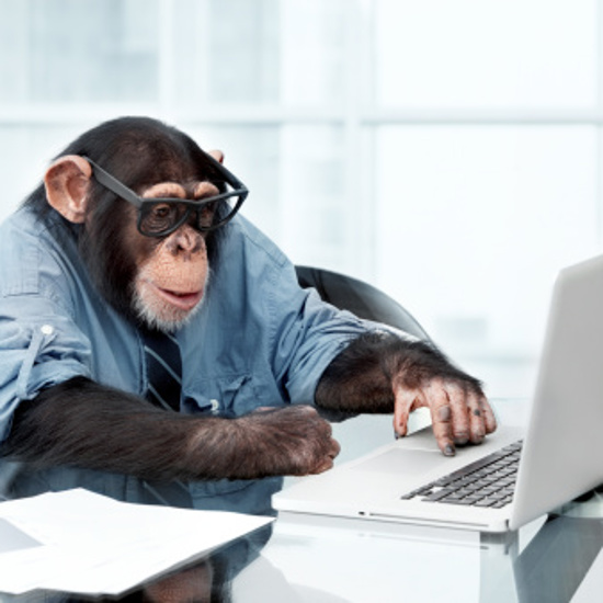 Lab Monkeys Are Typing 12 Words Per Minute With Their Minds