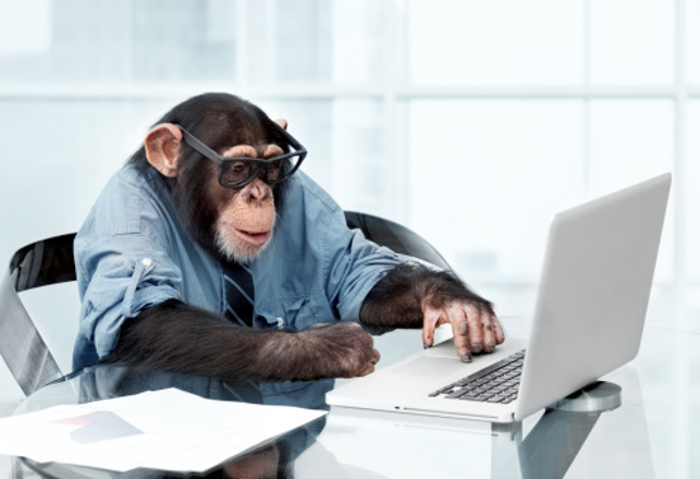 Lab Monkeys Are Typing 12 Words Per Minute With Their Minds