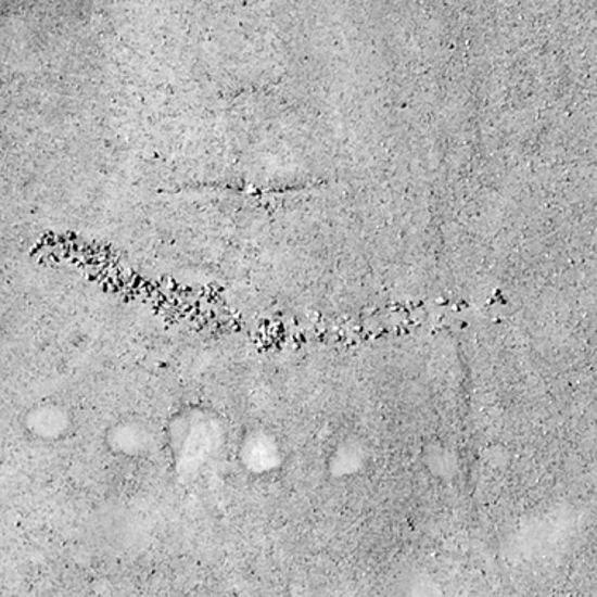 New Set Of Mysterious Ancient Geoglyphs Found In Peru
