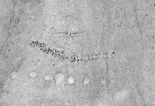 New Set Of Mysterious Ancient Geoglyphs Found In Peru